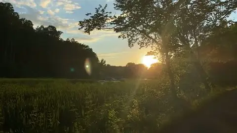 Nature's golden goodnight kiss.
